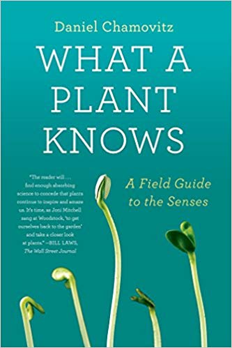 WHAT A PLANT KNOWS. A FIELD GUIDE TO THE SENSES. UPDATED AND EXPANDED EDITION