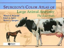SPURGEON'S COLOR ATLAS OF LARGE ANIMAL ANATOMY. THE ESSENTIALS 1