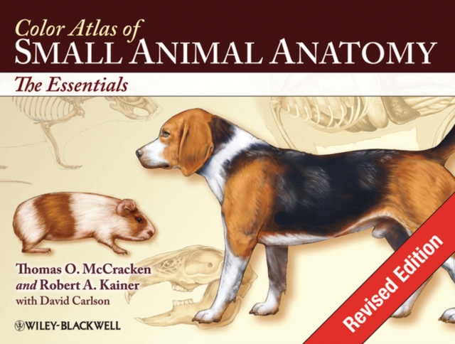 COLOR ATLAS OF SMALL ANIMAL ANATOMY. THE ESSENTIALS