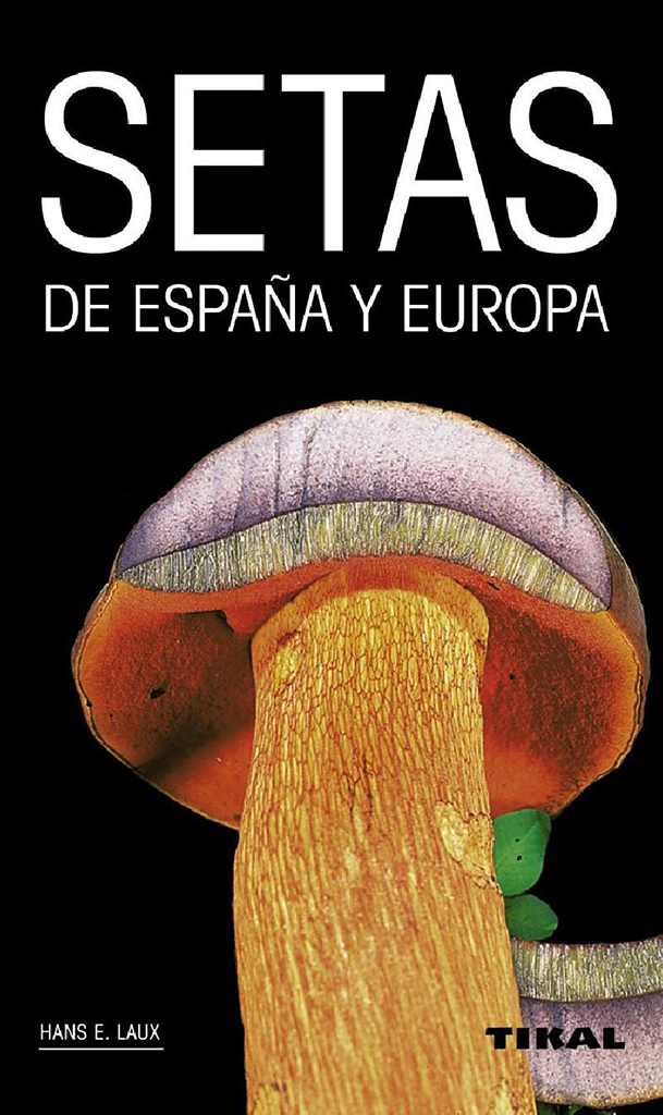 SETAS DE ESPAÑA Y EUROPA 1