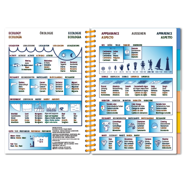 MARINE PICTOLIFE. INDIAN OCEAN AND RED SEA 2
