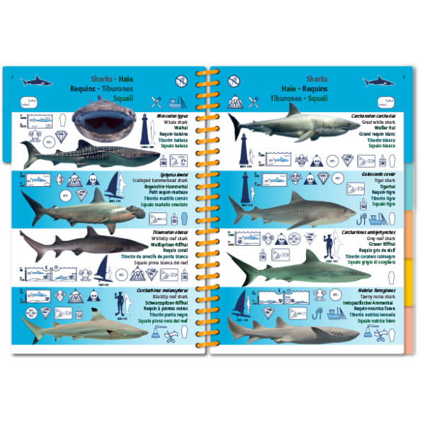 MARINE PICTOLIFE. INDIAN OCEAN AND RED SEA 3