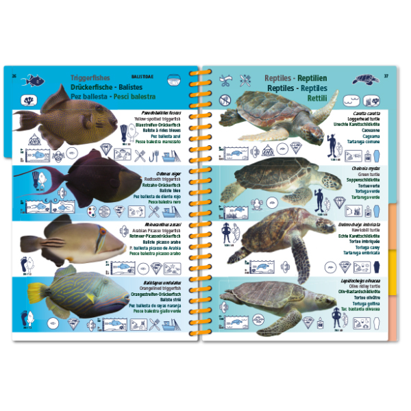 MARINE PICTOLIFE. INDIAN OCEAN AND RED SEA 5