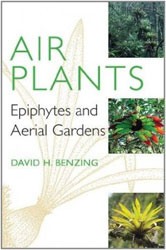 AIR PLANTS. EPIPHYTES AND AERIAL GARDENS 1