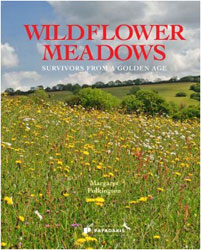 WILDFLOWERS MEADOWS. SURVIVORS FROM A GOLDEN AGE 1
