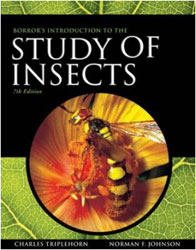 BORROR AND DELONG'S INTRODUCTION TO THE STUDY OF INSECTS 1