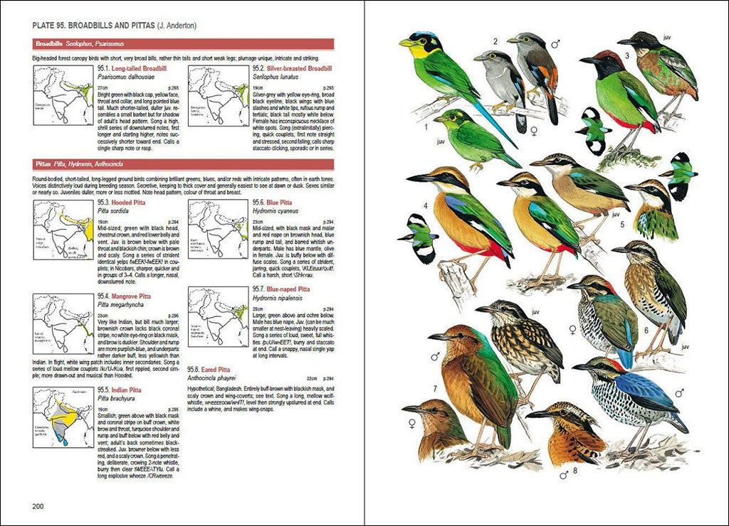 BIRDS OF SOUTH ASIA. THE RIPLEY GUIDE. 2 VOLUME SET 3