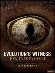 EVOLUTION'S WITNESS. HOW EYES EVOLVED 1