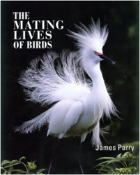 THE MATING LIVES OF BIRDS 1