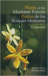 PLANTS OF THE MONTANE FORESTS. PLANTAS DE LOS BOSQUES MONTANOS. GUATEMALA 1