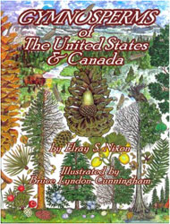 GYMNOSPERMS OF THE UNITED STATES & CANADA 1