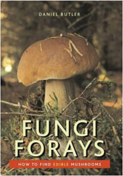 FUNGI FORAYS. HOW TO FIND EDIBLE MUSHROOMS 1