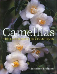CAMELLIAS. THE GARDENER'S ENCYCLOPEDIA 1