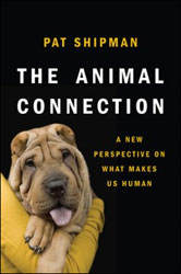 THE ANIMAL CONNECTION: A NEW PERSPECTIVE ON WHAT MAKES US HUMAN 1