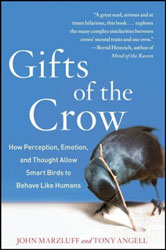 GIFTS OF THE CROW 1