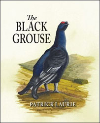 THE BLACK GROUSE 1