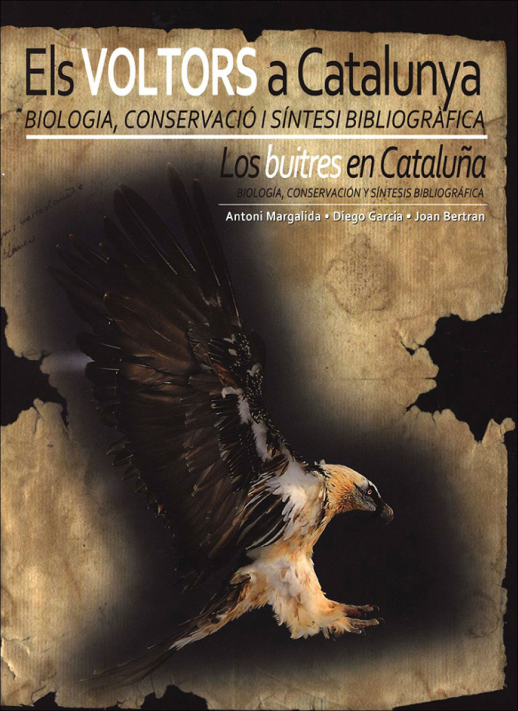 ELS VOLTORS A CATALUNYA. BIOLOGIA, CONSERVACIÓ I SÍNTESI BIBLIOGRÀFICA - LOS BUITRES EN CATALUÑA, BIOLOGÍA, CONSERVACIÓN Y SÍNTESIS BIBLIOGRÁFICA      1