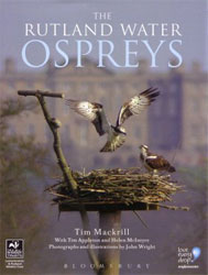 THE RUTLAND WATER OSPREYS 1