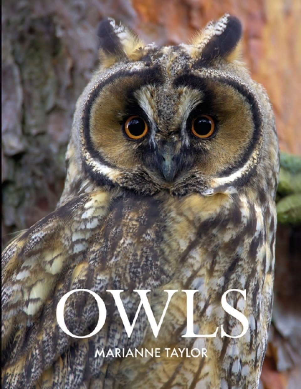 OWLS 1