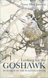 LOOKING FOR THE GOSHAWK 1