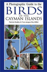 A PHOTOGRAPHIC GUIDE TO THE BIRDS OF THE CAYMAN ISLANDS 1