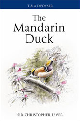 THE MANDARIN DUCK 1