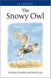 THE SNOWY OWL 1
