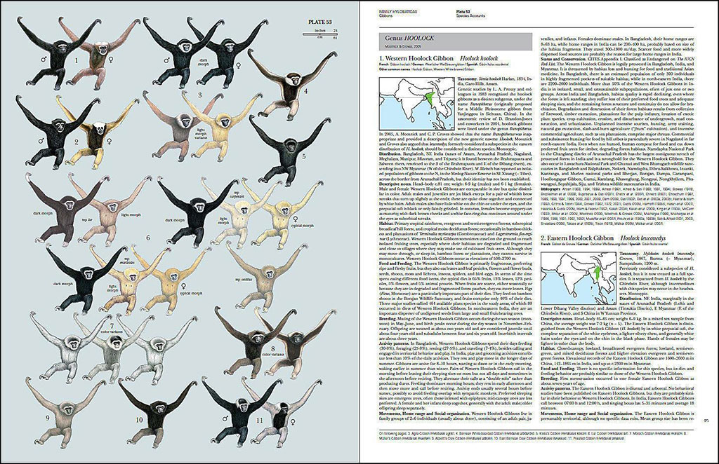 HANDBOOK OF THE MAMMALS OF THE WORLD. VOL. 3 PRIMATES 3