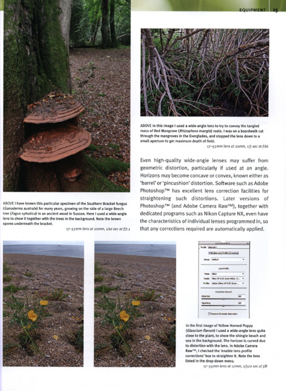 DIGITAL PLANT PHOTOGRAPHY 2