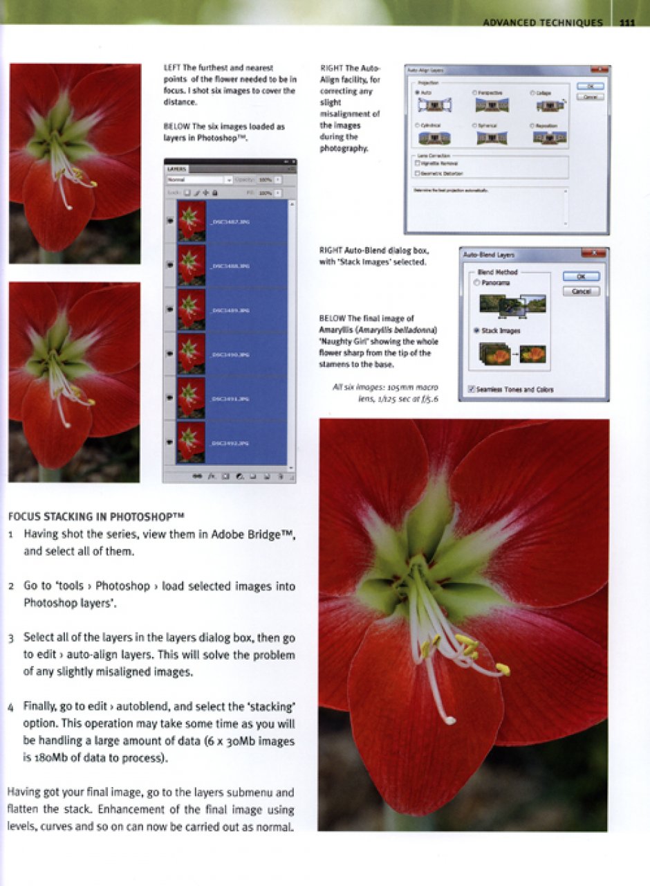DIGITAL PLANT PHOTOGRAPHY 4
