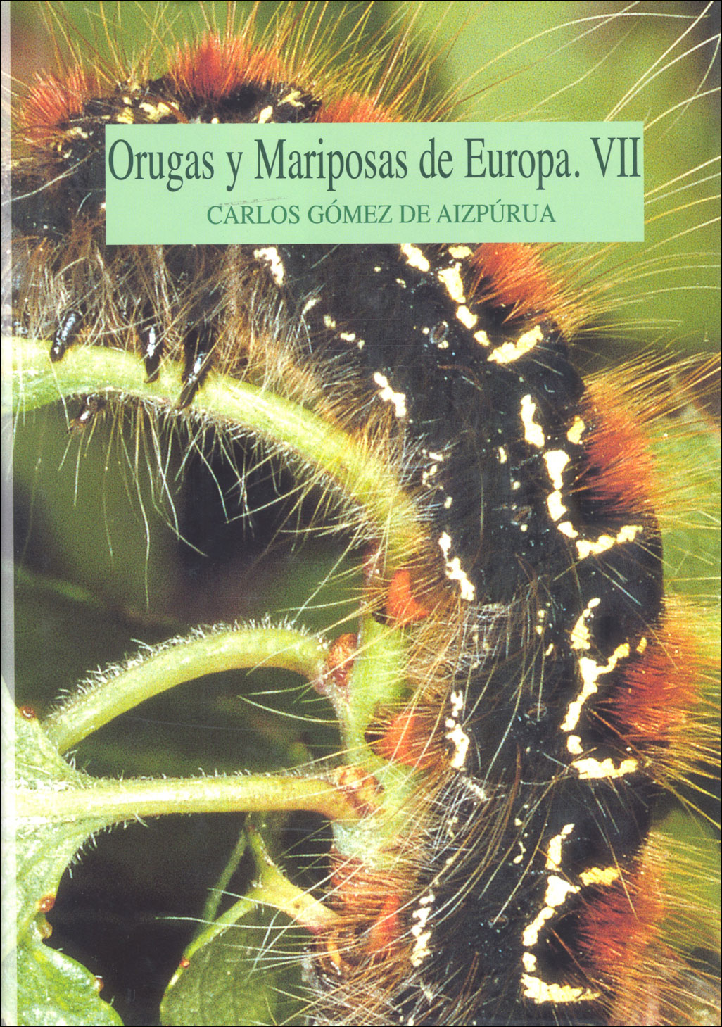ORUGAS Y MARIPOSAS DE EUROPA. VII 1
