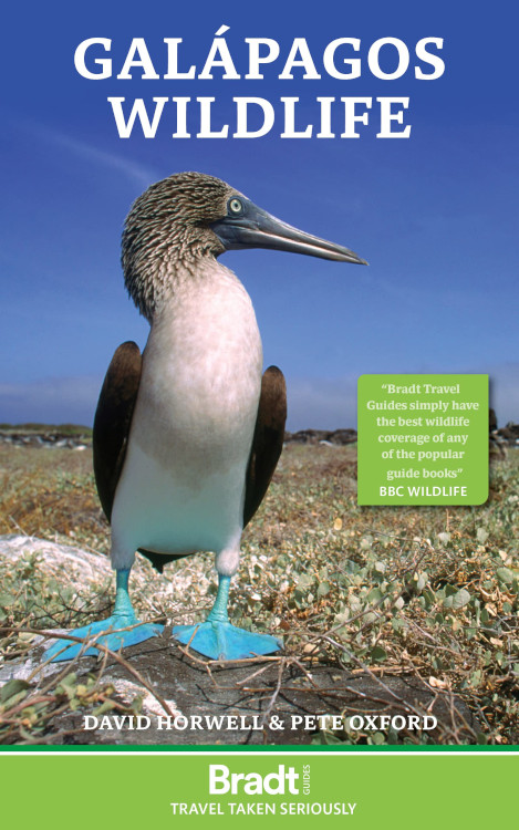 BRADT GALÁPAGOS WILDLIFE 1