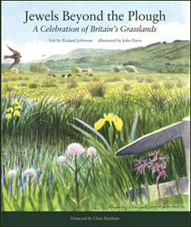 JEWELS BEYOND THE PLOUGH 1