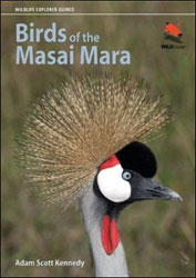 BIRDS OF THE MASAI MARA 1