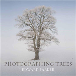 PHOTOGRAPHING TREES 1