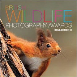 BRITISH WILDLIFE PHOTOGRAPHY AWARDS. COLLECTION 3 1