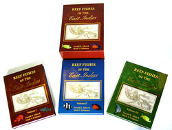REEF FISHES OF THE EAST INDIES 1
