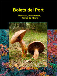 BOLETS DEL PORT I. MAESTRAT, MATARRANYA, TERRES DE L'EBRE 2