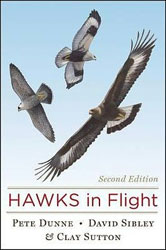 HAWKS IN FLIGHT 1