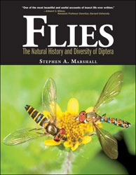 FLIES. THE NATURAL HISTORY AND DIVERSITY OF DIPTERA 1