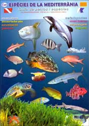 ESPÈCIES DE LA MEDITERRÀNIA. GUIA DE PEIXOS I ESPÈCIES. SUBMARINISME PESCA I SNORKELING 1