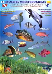 ESPECIES MEDITERRÁNEAS. GUÍA DE PECES Y ESPECIES. SUBMARINISMO PESCA Y SNORKELING 1