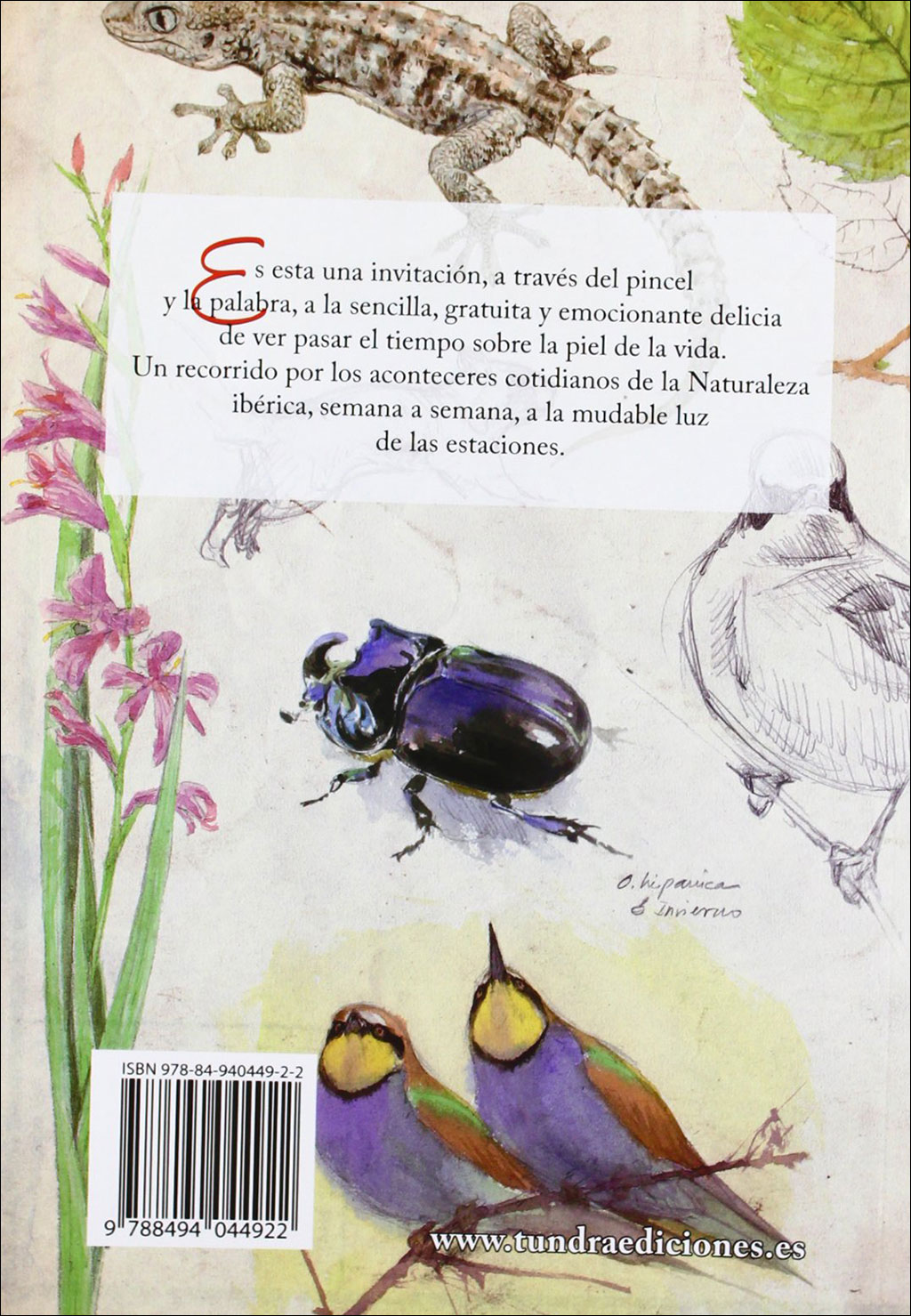 EL CALENDARIO DE LA NATURALEZA 2