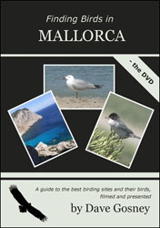 DVD FINDING BIRDS IN MALLORCA 1