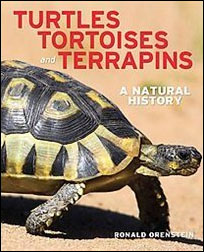 TURTLES, TORTOISES AND TERRAPINS 1