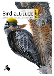 BIRD ATTITUDE. LE COMPORTEMENT DES OISEAUX EN 7 NOUVELLES ILLUSTRÉES D'AQUARELLES, DE POÈMES ET DE CALLIGRAPHIES 2