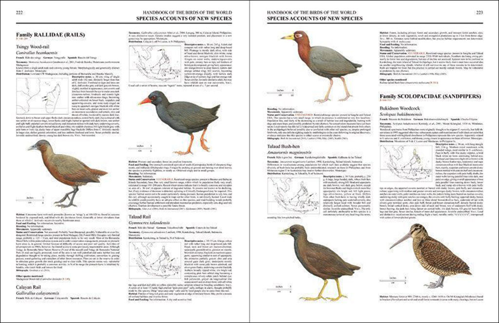 HANDBOOK OF THE BIRDS OF THE WORLD. SPECIAL VOLUME: NEW SPECIES AND GLOBAL INDEX 2