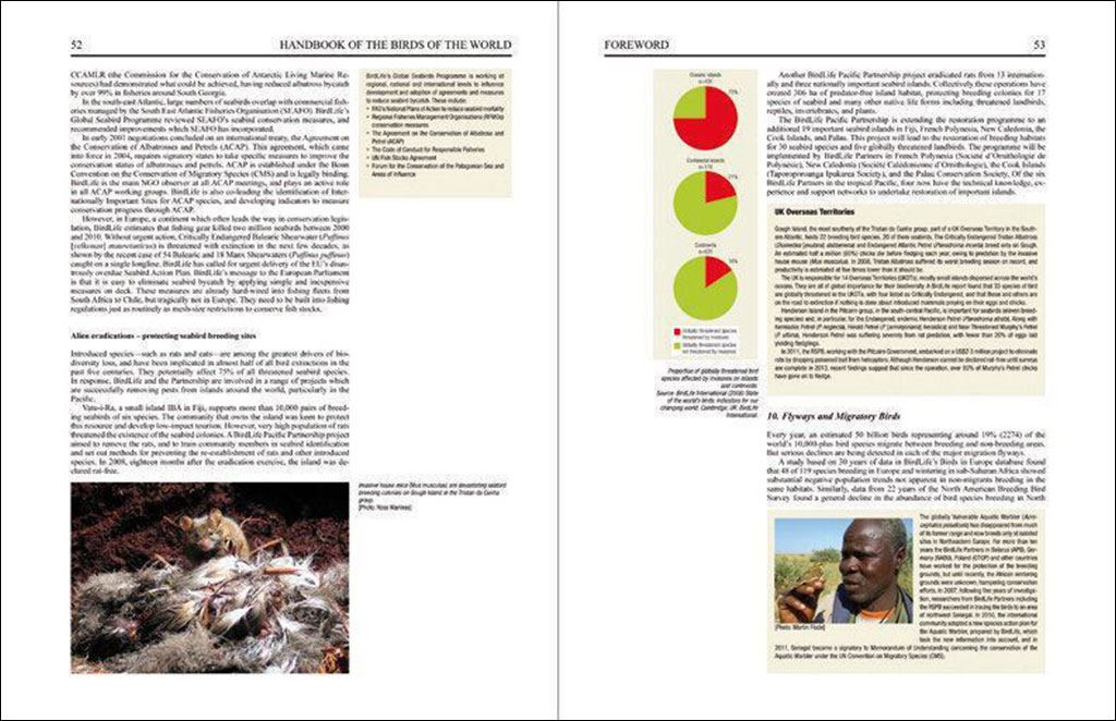 HANDBOOK OF THE BIRDS OF THE WORLD. SPECIAL VOLUME: NEW SPECIES AND GLOBAL INDEX 3