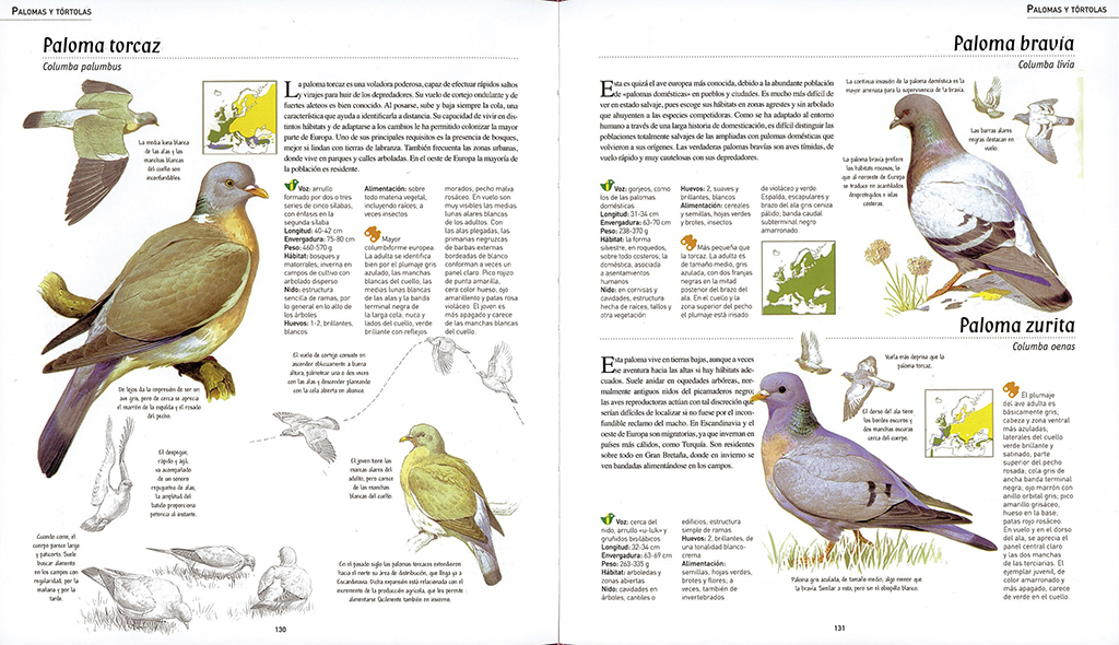 ATLAS ILUSTRADO DE LAS AVES DE ESPAÑA Y EUROPA 2