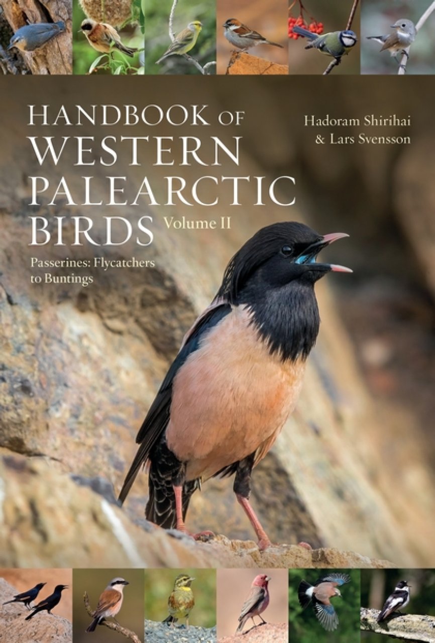 HANDBOOK OF WESTERN PALEARCTIC BIRDS. PASSERINES 2